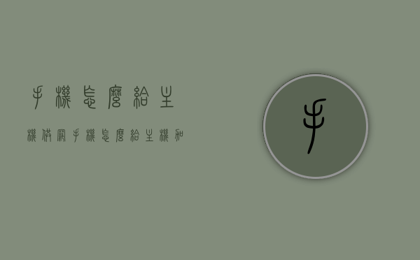 手机怎么给主机供网（手机怎么给主机加速），手机如何为电脑主机提供网络支持与加速功能？