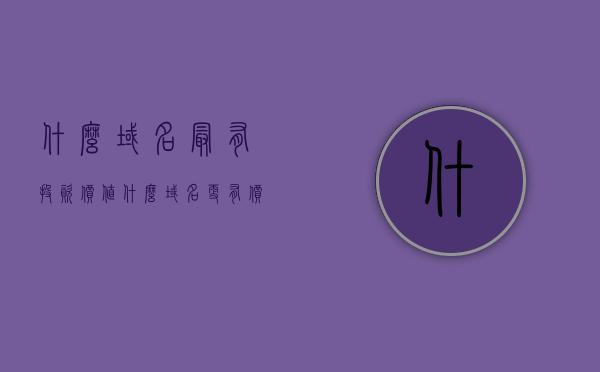 什么域名最有投资价值（什么域名更有价值），域名投资价值深度解析，探寻最具潜力的域名