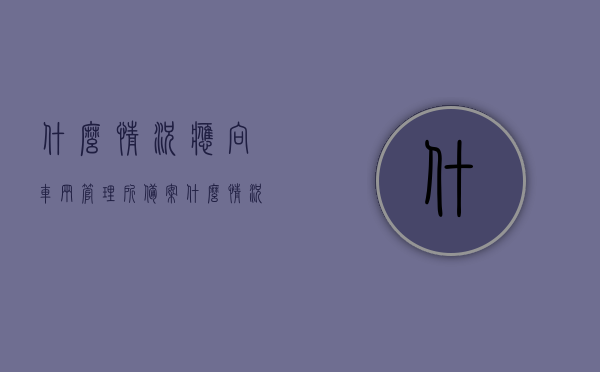 什么情况应向车辆管理所备案（什么情况要去车管所处理违章），什么情况下需向车辆管理所备案（车管所处理违章指南），车辆管理所备案指南，何时需备案及车管所处理违章详解，车辆管理所备案指南，何时需备案及车管所处理违章详解介绍，车辆管理所备案指南，何时需备案及车管所处理违章详解介绍，车辆管理所备案须知，何时需备案及处理违章详解指南
