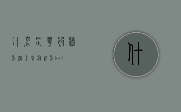 什么是云服务器网卡（云服务器 kali），云服务器网卡解析，了解云服务器中的Kali网卡功能，云服务器网卡解析，探究Kali网卡在云服务器中的功能与特点，云服务器网卡解析，探究Kali网卡在云服务器中的功能与特点 第1张