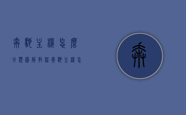 奔驰主机怎么分类图解教程（奔驰主机怎么分类图解教程），奔驰主机分类详解，图解教程助你轻松了解与识别奔驰主机类型，图解教程，奔驰主机分类详解与识别指南，奔驰主机分类详解，图解教程助你轻松识别与了解奔驰主机类型指南