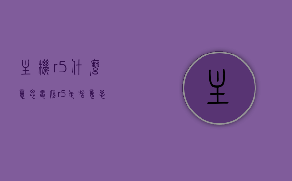 主机r5什么意思（电脑r5是啥意思），电脑主机R5的含义解析，电脑主机R5的含义解析及介绍