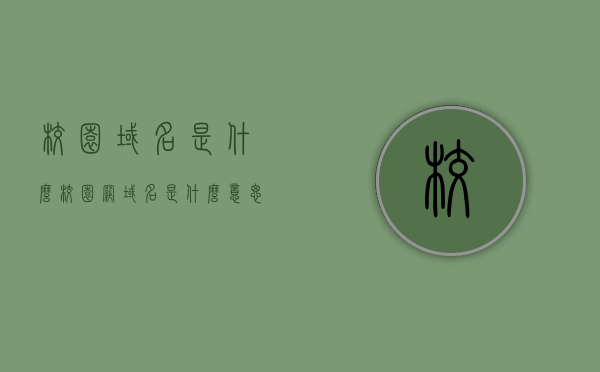 校园域名是什么（校园网域名是什么意思），校园网域名的含义与解析，什么是校园域名？，校园域名的含义与解析，探究校园网域名的定义及含义解析过程，校园域名解析，定义、含义与解析过程探究