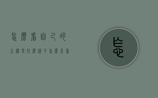 怎么看自己的主机是什么牌子（怎么查看电脑主机的品牌和型号），如何查看电脑主机品牌和型号？详细步骤解析，如何查看电脑主机品牌和型号？详细步骤与解析，如何查看电脑主机品牌和型号？详细步骤解析及查询方法指南