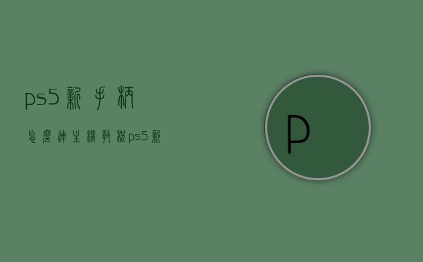ps5新手柄怎么连主机教程（ps5新手柄怎么连主机教程视频），PS5新手柄连接主机教程，步骤详解及视频指引，PS5新手柄连接主机教程，详细步骤与视频指引全解析，PS5新手柄连接主机教程，步骤详解与视频指引，一键连接无障碍操作指南！，PS5新手柄连接主机教程，详细步骤与视频指引，一键操作无障碍指南，PS5新手柄连接主机教程，详细步骤与视频指引，一键操作无障碍指南（附视频教程），PS5新手柄连接主机一键操作指南，详细步骤与视频教程附送