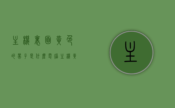 主机里面黄色的带子是什么（电脑主机黄色线是什么），电脑主机内黄色带子的秘密，揭秘主机内部黄色线的作用与身份