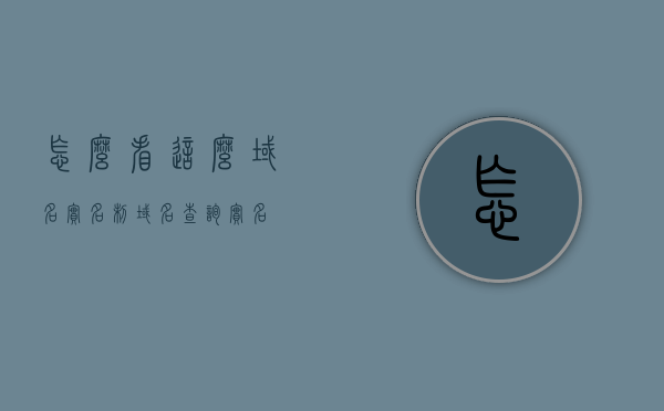 怎么看这么域名实名制（域名查询实名），域名实名制查询与实名验证的重要性解析