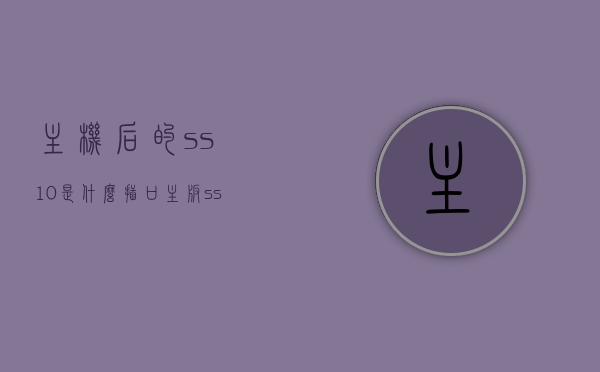 主机后的ss10是什么插口（主板ss10接口），主板上的SS10接口详解，主机后的ss10插口功能及作用，主板SS10接口详解，功能、作用及主机后的SS10插口介绍，主板SS10接口详解，功能、作用与主机后的SS10插口介绍，主板SS10接口详解，功能、作用及主机后置SS10插口的介绍与解析