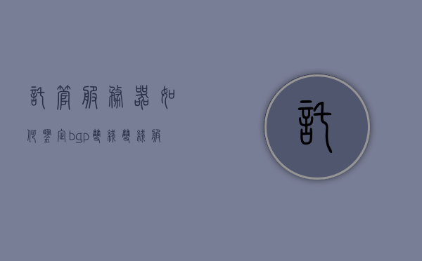 托管服务器如何鉴定bgp双线（双线服务器租用托管），BGP双线服务器鉴定与托管租用指南