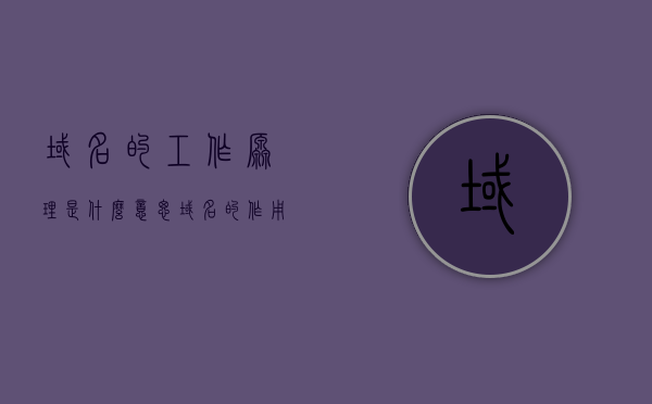 域名的工作原理是什么意思（域名的作用体现在哪两个方面），域名工作原理详解，作用及体现两个方面探究