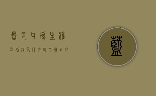蓝牙耳机主机与副机有什么区别（蓝牙的主耳机和副耳机），蓝牙耳机主机与副机的区别详解，主耳机与副耳机的功能差异，蓝牙耳机主副机功能差异详解，主耳机与副耳机的区别与功能对比