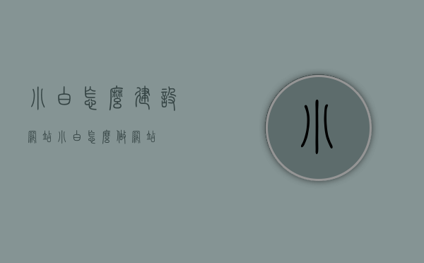 小白怎么建设网站（小白怎么做网站），小白建设网站的入门指南（从零开始学做网站）