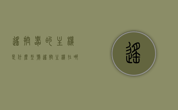 遥控器的主机是什么型号（遥控主机在哪里），遥控器主机型号查询及位置指南，遥控器主机型号查询及位置指南，型号查询与定位指导，遥控器主机型号查询及定位指南，型号查询方法与位置指南介绍