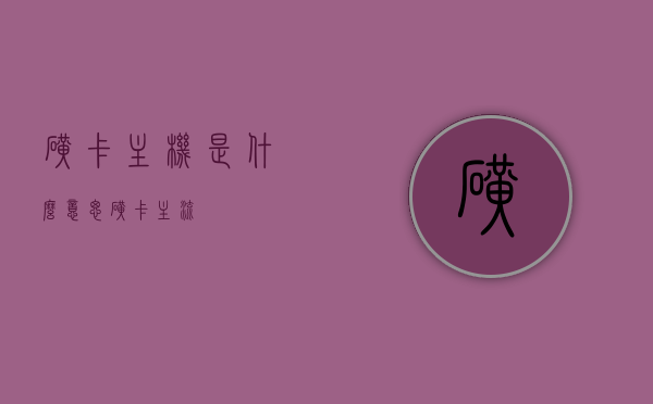 矿卡主机是什么意思（矿卡主流），矿卡主机，解读矿卡主流的含义与特点，矿卡主机解读，主流矿卡含义与特点概述，矿卡主机解读，主流矿卡的含义、特点与概述，矿卡主机解读，主流矿卡的含义、特点与概述分析，矿卡主机解读，主流矿卡的含义、特点与概述分析