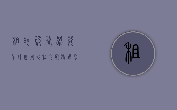 租的服务器能干什么用的（租的服务器怎么使用），租的服务器用途及使用方法详解，租的服务器用途与使用方法详解，功能多样，操作便捷，租的服务器用途及便捷操作方法详解