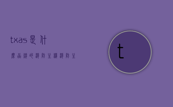 txas是什么品牌的消防主机（消防主机tab键的作用），消防主机品牌解析，TXAS消防主机及其TAB键功能详解