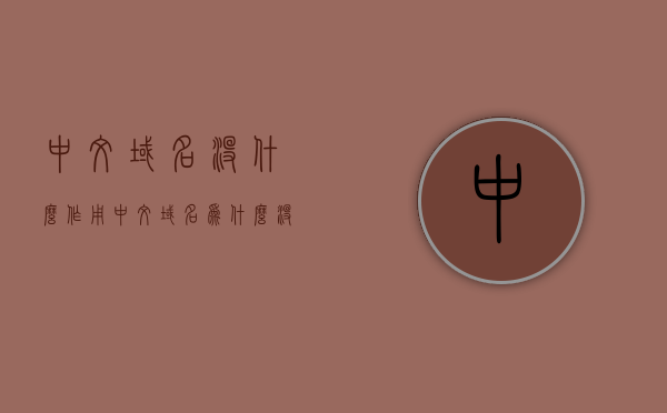 中文域名没什么作用（中文域名为什么没价值），中文域名价值的探讨，为何中文域名在实际应用中作用有限？