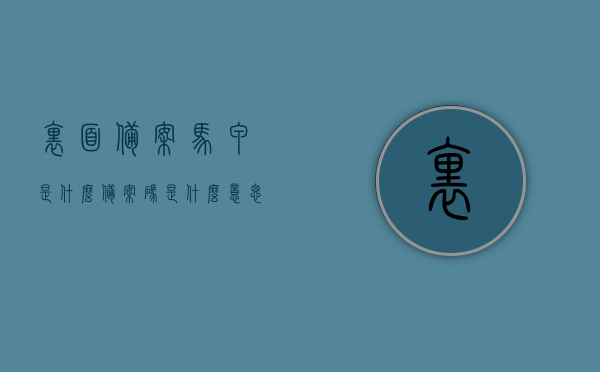 里面备案马甲是什么（备案码是什么意思），揭秘马甲备案与备案码含义解析，马甲备案与备案码含义解析，揭秘背后的真相与解析，马甲备案与备案码深度解析，揭秘含义、真相与背后真相解析