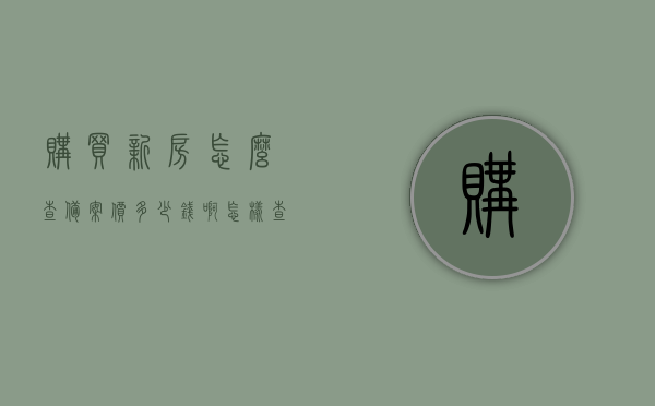 购买新房怎么查备案价多少钱啊（怎样查询新房的备案价），如何查询新房备案价及所需费用详解