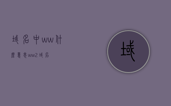 域名中ww什么意思（ww2域名），解析域名中的ww含义及ww2域名的奥秘