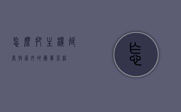 怎么把主机延长放屋外的简单介绍，主机室外置延长方案简介，主机室外置延长方案，简单介绍如何将其延长并放置室外