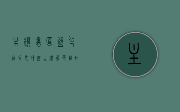 主机里面蓝色插孔是什么（主机蓝色插口是什么），主机内蓝色插孔详解，揭秘蓝色插口的功能与用途，揭秘主机内部蓝色插孔的功能与用途，蓝色插口详解，揭秘主机内部蓝色插孔的功能与用途，蓝色插口详解及用途解析，揭秘主机内部蓝色插孔，功能与用途详解