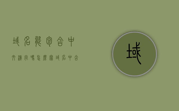 域名能包含中文汉字吗怎么写（域名中含有中文的域名被称为什么），域名中的中文汉字支持与中文域名的定义
