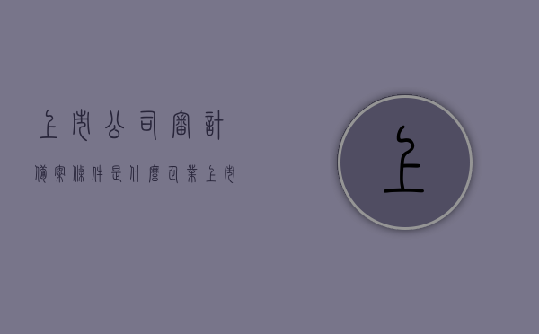 上市公司审计备案条件是什么（企业上市审计），上市公司审计备案条件详解，企业上市审计的必备要求，上市公司审计备案条件详解，企业上市审计的必备要求与流程概述，上市公司审计备案条件详解，企业上市审计的必备要求与流程概览，上市公司审计备案条件详解，企业上市审计的必备要求与流程概览，上市公司审计备案条件详解，企业上市审计的必备要求与流程概览，上市公司审计备案条件详解，企业上市审计的必备要求与流程概览，上市公司审计备案条件详解，企业上市审计的必备要求与流程概览