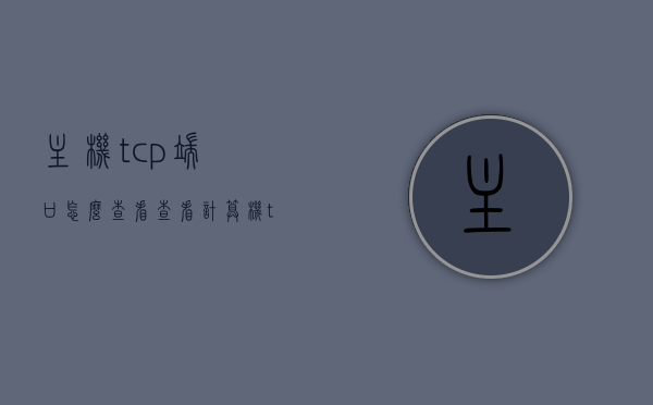 主机tcp端口怎么查看（查看计算机tcp连接状态），如何查看主机TCP端口及计算机TCP连接状态？