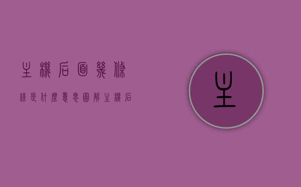 主机后面几条线是什么意思图解（主机后面一大堆线），图解主机背后线路解析，揭示神秘线路连接之谜