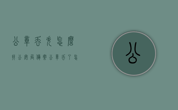 公章丢失怎么找公安局备案（公章丢了怎么备案），公章丢失如何向公安局备案？全程指南