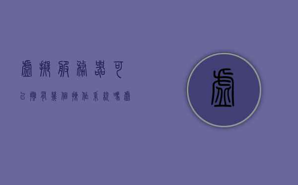虚拟服务器可以拥有几个操作系统吗（虚拟服务器安装操作系统），虚拟服务器能否同时安装多个操作系统？探讨虚拟服务器安装操作系统的可能性，虚拟服务器能否同时安装多个操作系统，探讨虚拟服务器安装操作系统的可能性