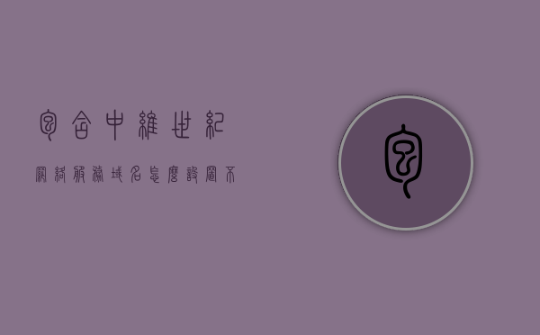 包含中维世纪网络服务域名怎么设置不了的词条，中维世纪网络服务域名设置问题解析与解决方案