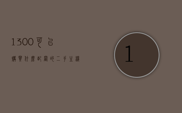 1300可以购买什么配置的二手主机（1300左右的主机），预算1300元，二手主机配置推荐与购买指南，预算1300元二手主机配置推荐与购买指南，1300元你能买到什么样的主机配置？
