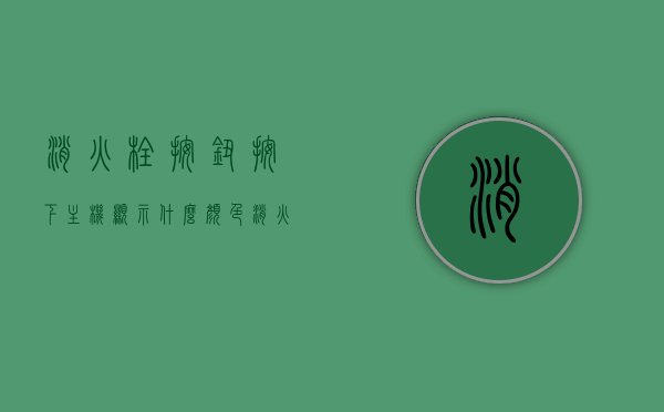 消火栓按钮按下主机显示什么颜色（消火栓按钮灯常亮故障怎么回事），消火栓按钮功能与故障解析，按钮按下后主机显示颜色及灯常亮故障原因探究，消火栓按钮功能解析与故障探究，主机显示颜色及灯常亮故障原因揭秘，消火栓按钮功能与故障解析，按钮行为下主机显示颜色及灯常亮原因揭秘