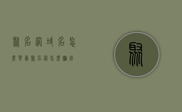 聚名网域名怎么买卖（聚名网怎么赚钱），聚名网域名交易指南，如何买卖域名赚钱？，聚名网域名交易全攻略，买卖赚钱指南与交易指南解析