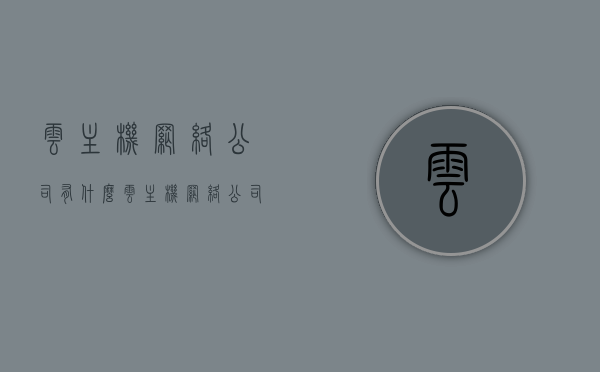 云主机网络公司有什么（云主机网络公司有什么优势），云主机网络公司的优势及概述