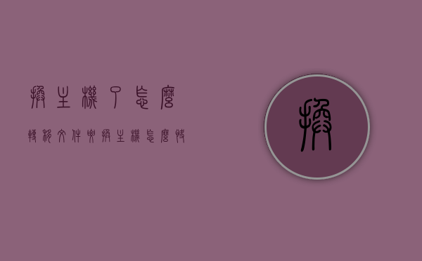 换主机了怎么转移文件（要换主机怎么快速把资料转移），换主机文件转移攻略，快速迁移资料的方法，换主机文件转移全攻略，快速迁移资料的方法与技巧，换主机文件转移全攻略，快速迁移资料的方法与技巧，换主机文件转移全攻略，快速迁移资料的方法与技巧，换主机文件转移全攻略，快速迁移资料的方法与技巧详解，换主机文件转移全攻略，快速迁移资料的详细方法与技巧详解，换主机文件转移全攻略，快速迁移资料的详细方法与技巧详解，换主机文件转移全攻略，快速迁移资料的详细方法与技巧详解