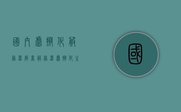 国内虚拟化服务器厂商（服务器虚拟化主流厂商有哪些），国内虚拟化服务器厂商概览，探究服务器虚拟化主流厂商，探究国内虚拟化服务器的主流厂商，服务器虚拟化概览