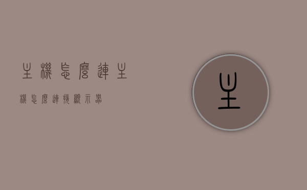 主机怎么连（主机怎么连接显示器），主机连接指南，如何连接主机与显示器？，主机与显示器连接指南，步骤详解如何正确连接主机与显示器