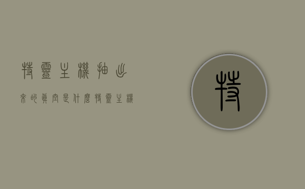 特灵主机抽出来的真空是什么（特灵主机面板图片），特灵主机真空抽取及面板图片解析