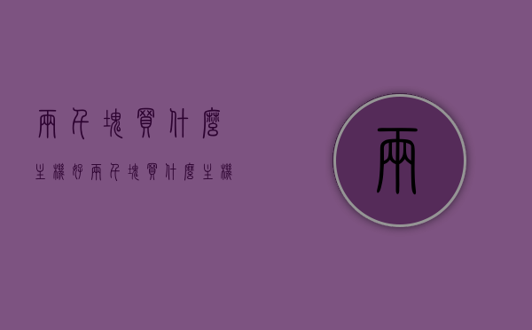 两千块买什么主机好（两千块买什么主机好一点），两千元预算下，选购优质主机的明智选择