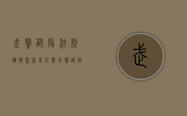 武警部队法制备案监督是什么（武警部队法制备案监督是什么意思），武警部队法制备案监督的概述与意义，武警部队法制备案监督概述及其意义