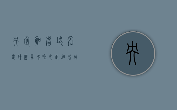 央企加省域名是什么意思啊（央企加省域名是什么意思啊怎么办），央企加省域名的含义与操作指南