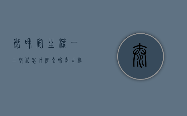 泰和安主机一二级代表什么（泰和安主机型号），泰和安主机一、二级代表详解及型号介绍，泰和安主机一、二级详解及型号介绍，代表意义与特点解析，泰和安主机一、二级详解及型号介绍，代表意义、特点全解析，泰和安主机一、二级详解及型号介绍，代表意义与特点全解析