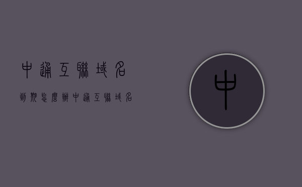 中通互联域名到期怎么办（中通互联域名到期怎么办理），中通互联域名到期处理指南，续期与办理流程解析