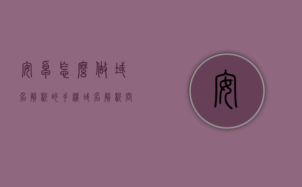 安卓怎么做域名解析的（手机域名解析问题怎么处理），安卓域名解析详解，手机域名解析问题解决方案，安卓域名解析详解，手机域名解析问题解决方案与操作指南