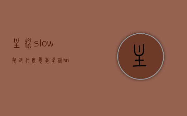 主机slow按钮什么意思（主机sn），主机slow按钮含义解析及主机sn介绍，主机slow按钮含义解析与主机sn介绍，解析主机sn功能及slow按钮作用