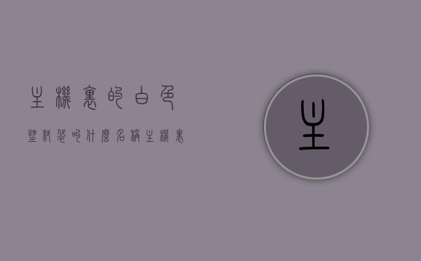 主机里的白色塑料袋叫什么名称（主机里的白色塑料袋叫什么名称来着），主机内部白色塑料袋的准确名称是什么？，主机内部白色塑料袋的准确名称及解析，揭秘主机内部白色塑料袋的准确名称与解析