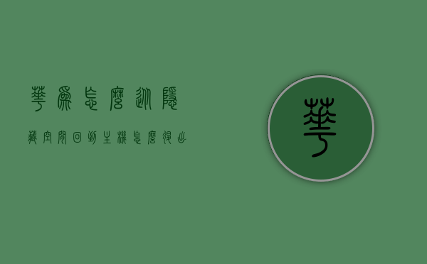 华为怎么从隐藏空间回到主机（怎么退出华为隐藏空间），华为隐藏空间退出方法，如何回到主机？